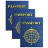 Ashley Productions® Blank Passports, 12 Per Pack, 3 Packs