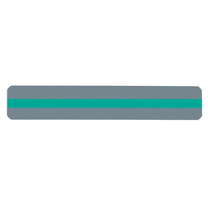 Ashley Productions® Sentence Strip Reading Guide, 1-1/4" x 7-1/4", Green