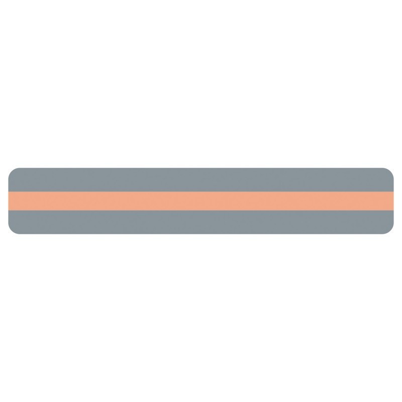 Ashley Productions® Sentence Strip Reading Guide, 1-1/4" x 7-1/4", Peach