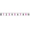 Ashley Productions® Magnetic Number Line -20 to 120