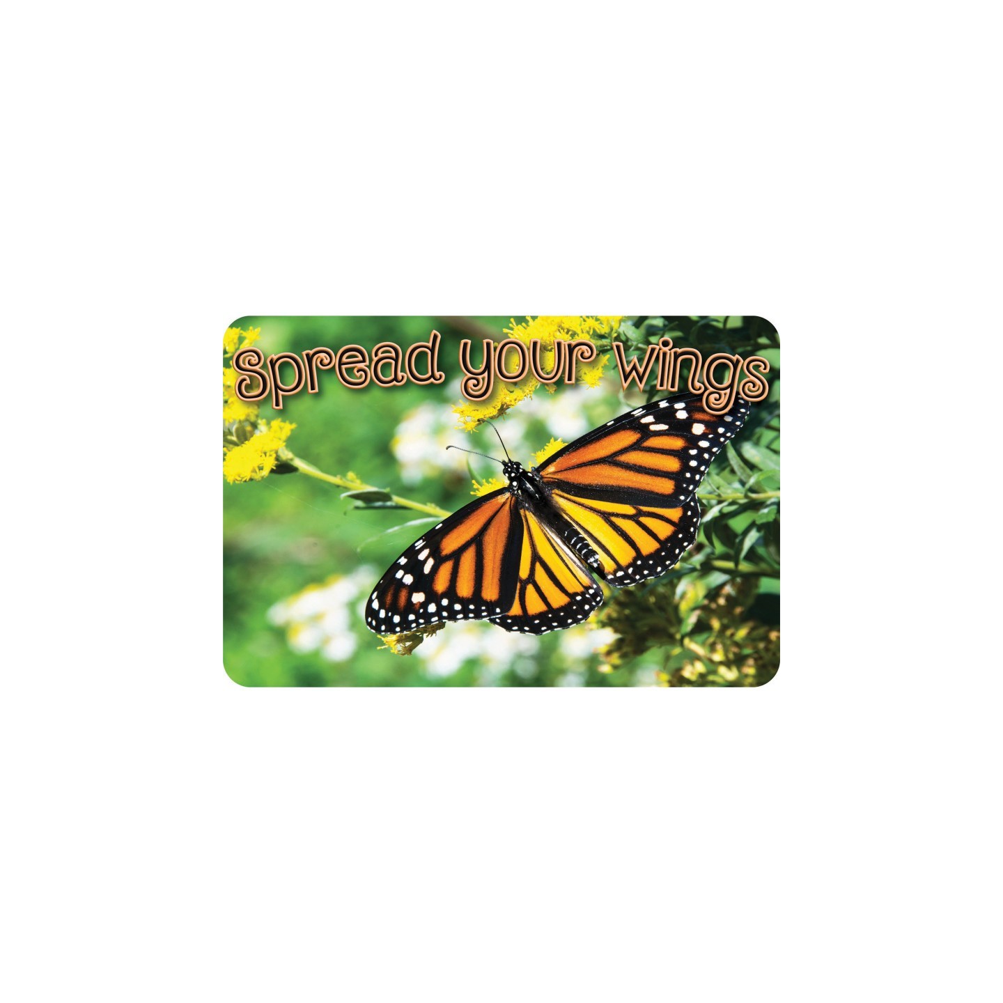Ashley Productions® The Original Fun Mat® Computer Mouse Pad, 11.75x8 in, Butterfly, Spread Your Wings