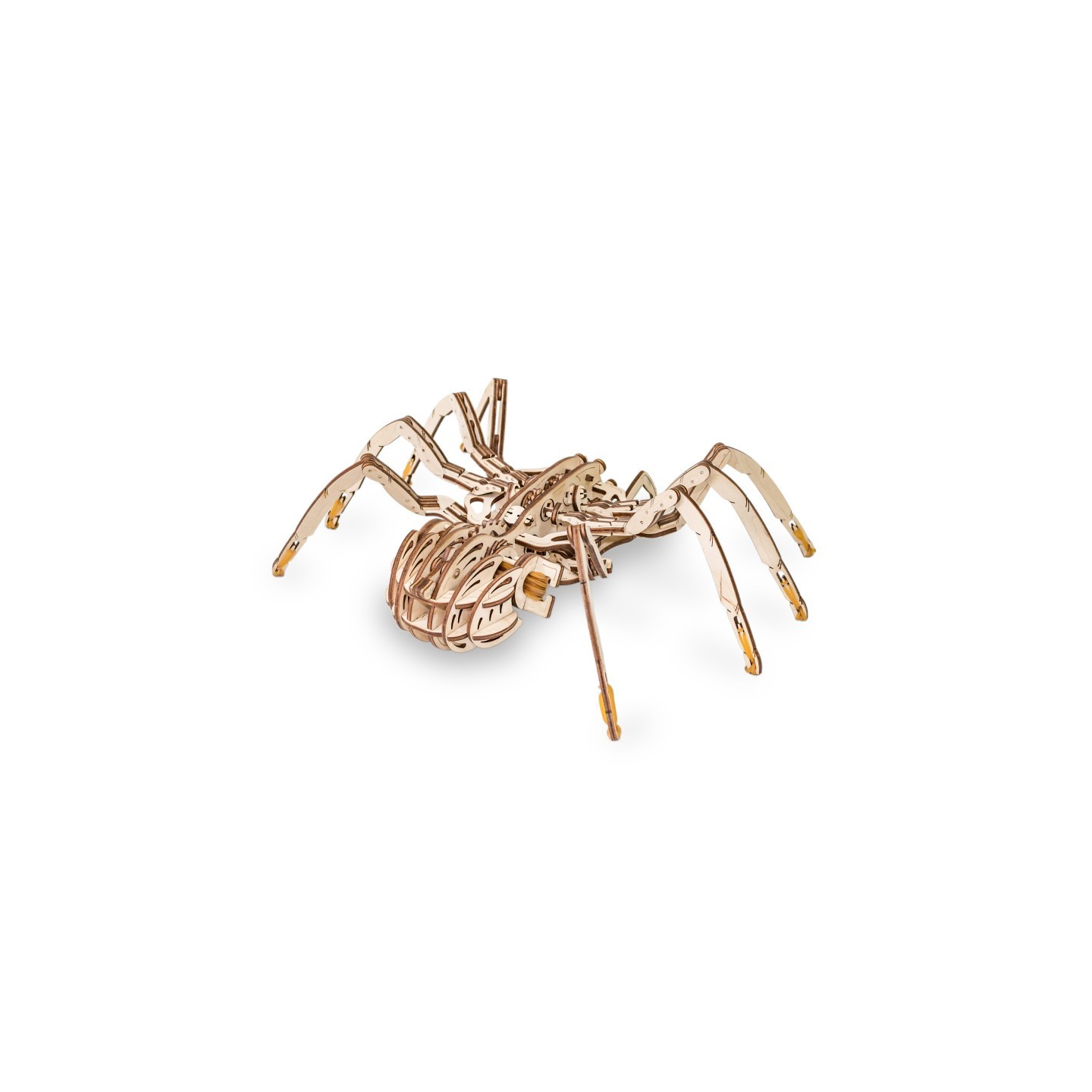 EWA Eco-Wood-Art Spider 3D Wooden STEM Construction Kit