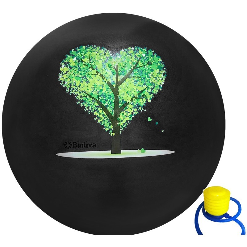 Bintiva Exercise Ball with Stabilizing Sand, 45cm, Black