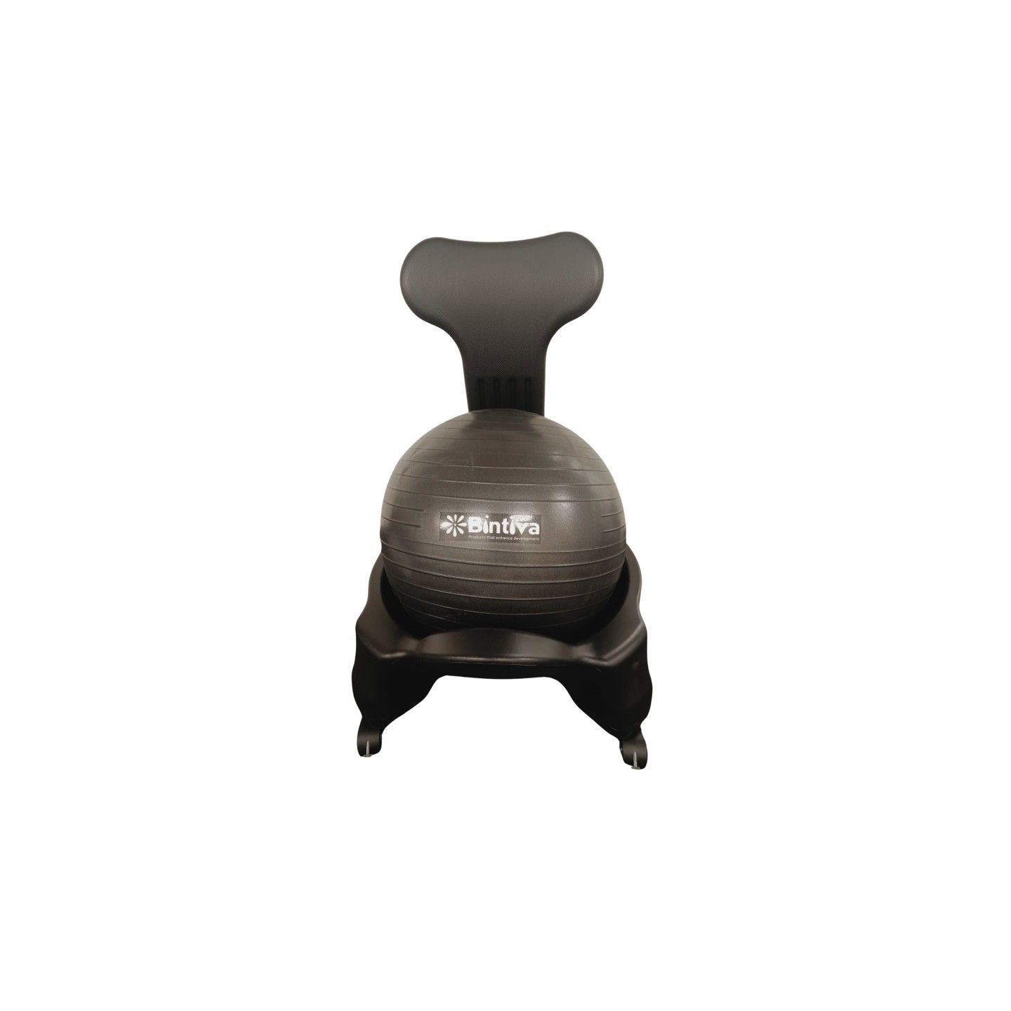 Bintiva Stability Ball Chair, Adult, Black/Black