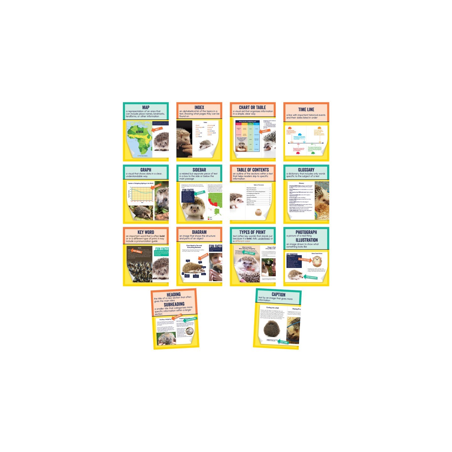 Carson Dellosa Education Mini Posters: Nonfiction Text Features Poster Set, Grade 1-6, 14 Pieces