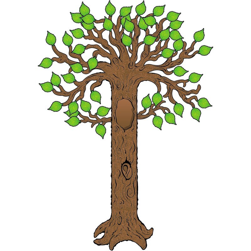 Carson Dellosa Education Big Tree Bulletin Board Set
