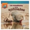 Discovery Library Jr Las necesidades de los animales