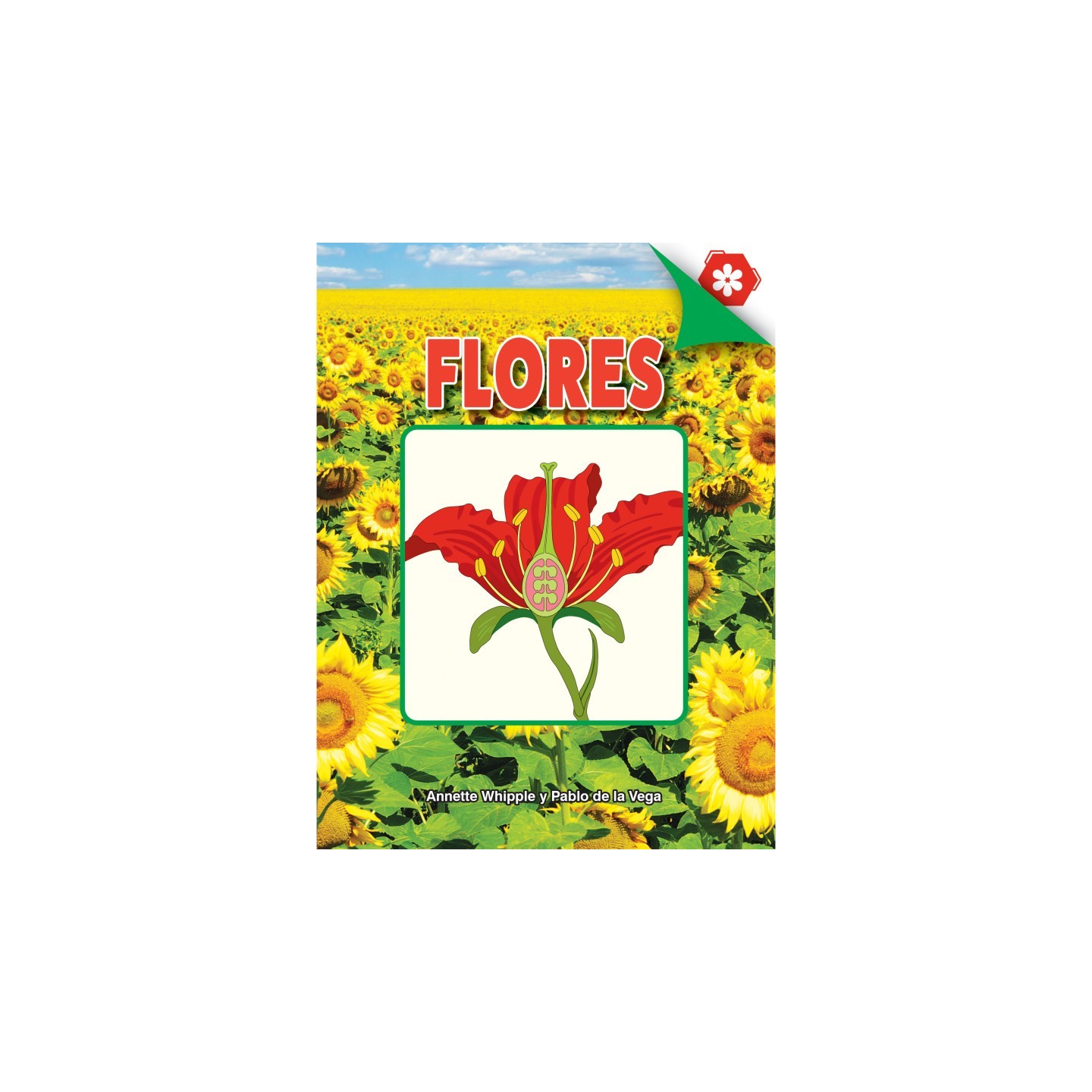 Discovery Library Flores Book, Hardcover