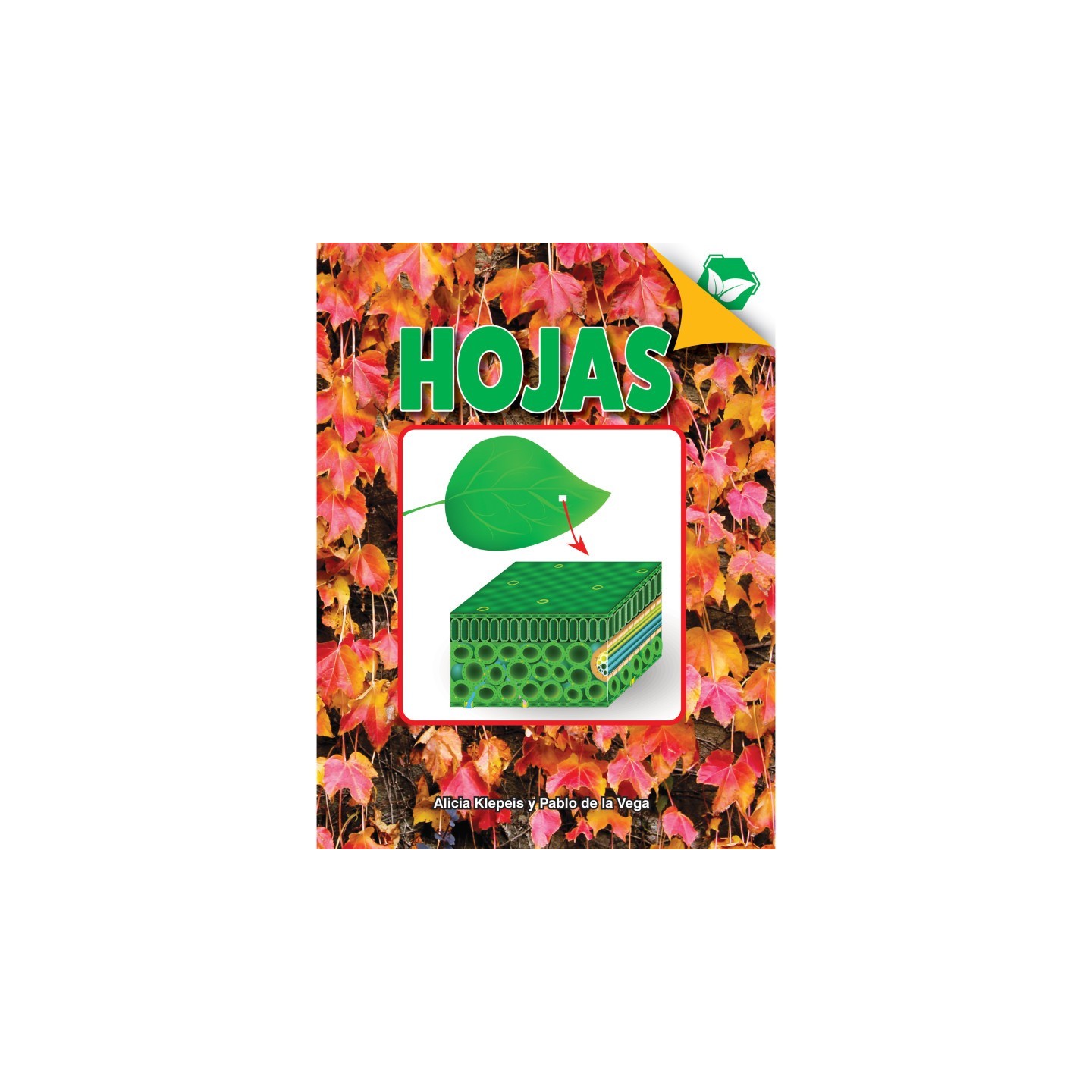 Discovery Library Hojas Book, Hardcover