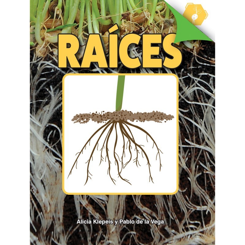 Discovery Library Raíces Book, Hardcover