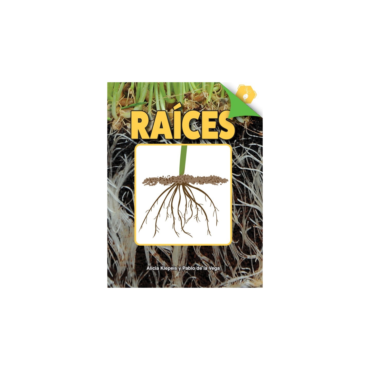 Discovery Library Raíces Book, Hardcover