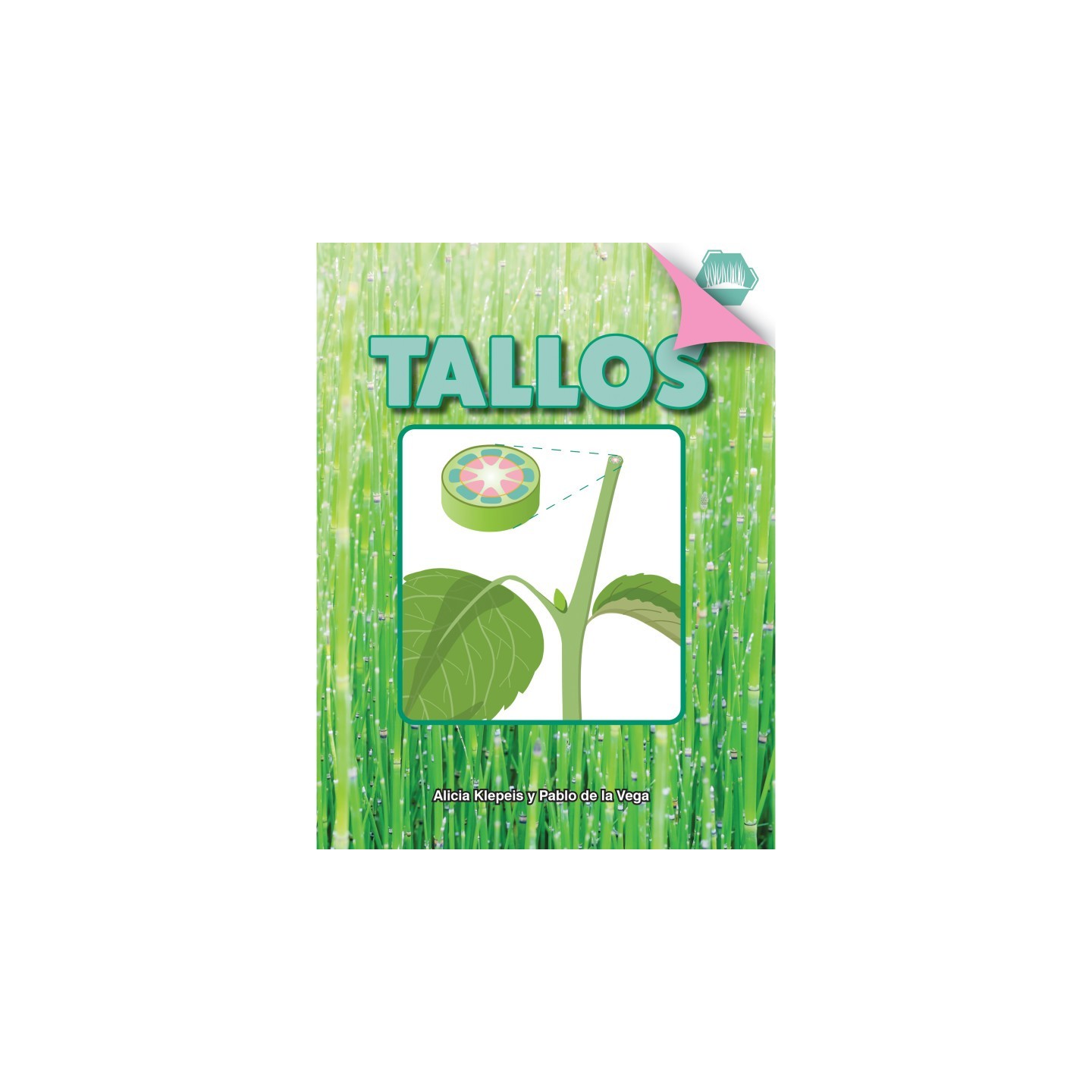 Discovery Library Tallos Book, Hardcover