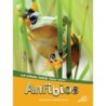 Discovery Library Anfibios Hardcover