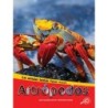Discovery Library Artrópodos Hardcover