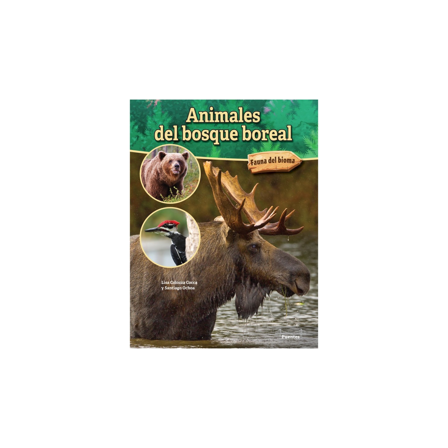 Bridges Animales del bosque boreal Hardcover