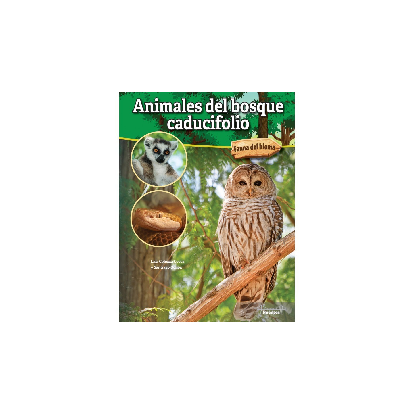 Bridges Animales del bosque caducifolio Hardcover