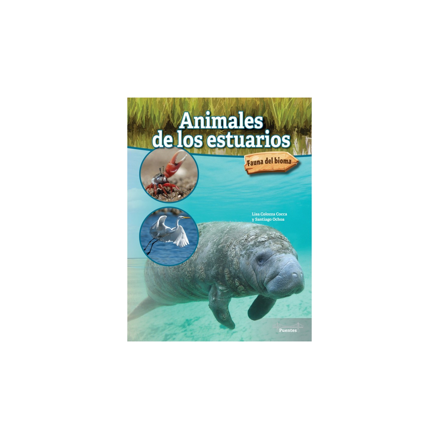 Bridges Animales de los estuarios Hardcover