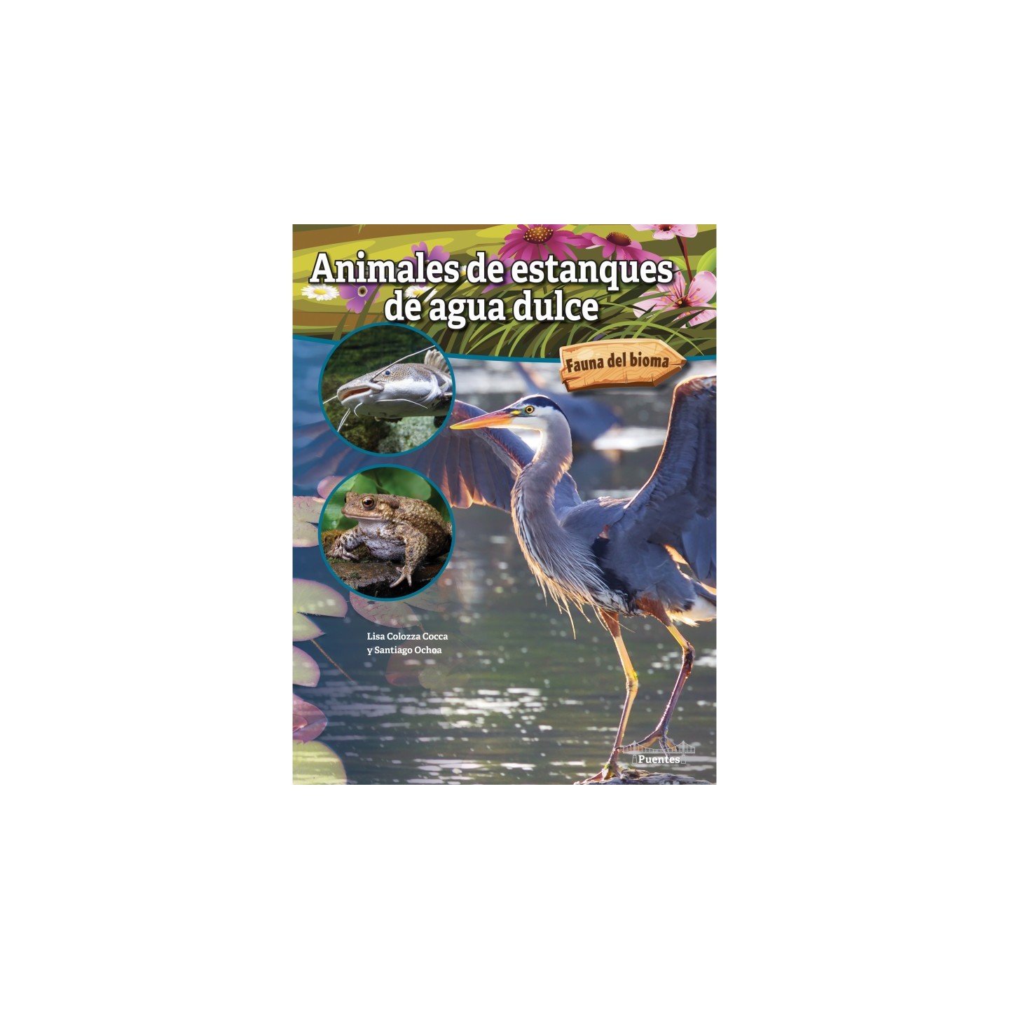Bridges Animales de estanques de agua dulce Hardcover
