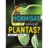 Discovery Library ¿Las hormigas son como las plantas?