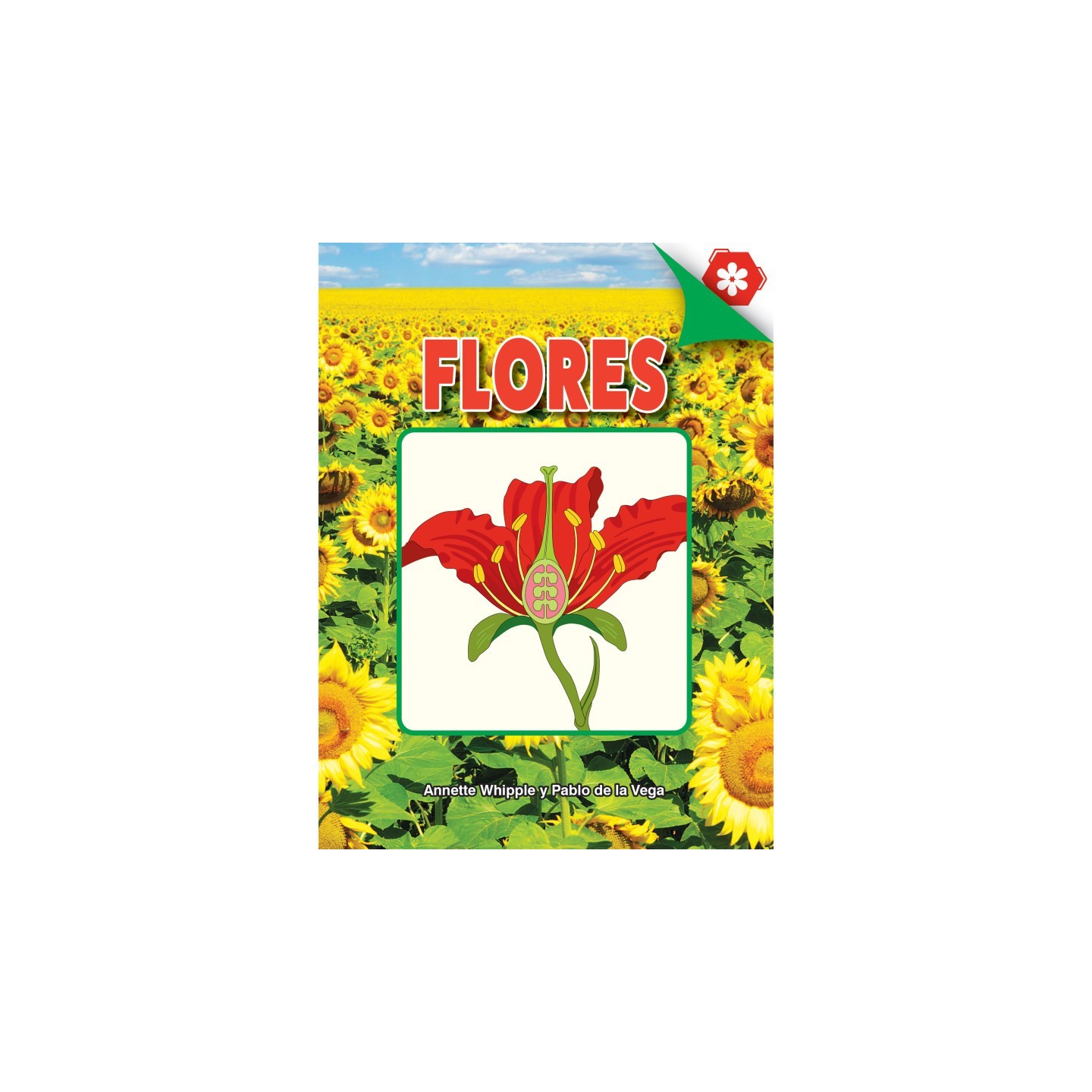 Discovery Library Flores Book, Paperback