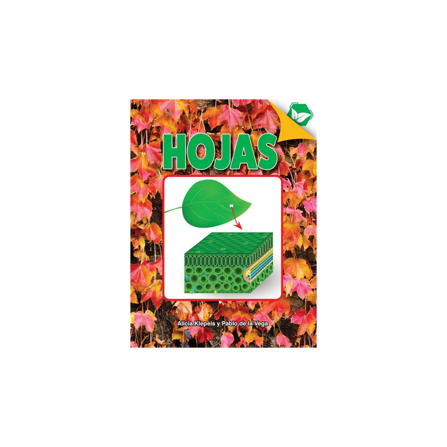 Discovery Library Hojas Book, Paperback