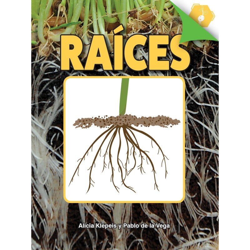 Discovery Library Raíces Book, Paperback
