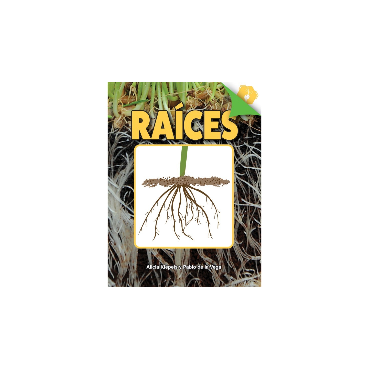 Discovery Library Raíces Book, Paperback