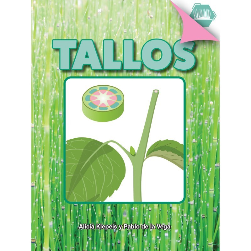 Discovery Library Tallos Book, Paperback
