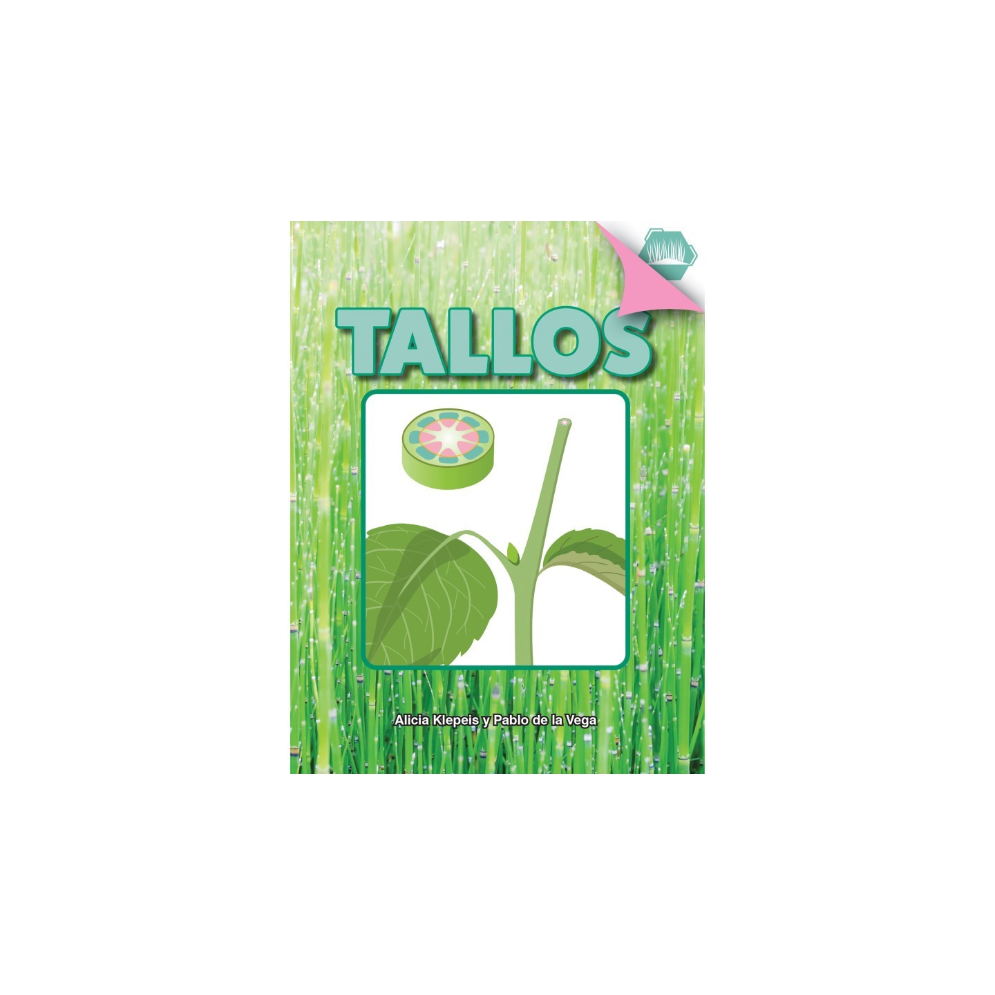 Discovery Library Tallos Book, Paperback