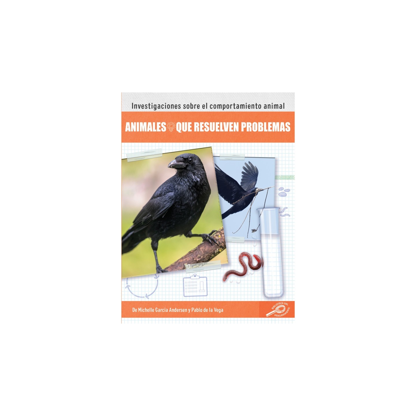 Discovery Library Animales que resuelven problemas Paperback