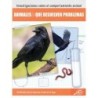 Discovery Library Animales que resuelven problemas Paperback