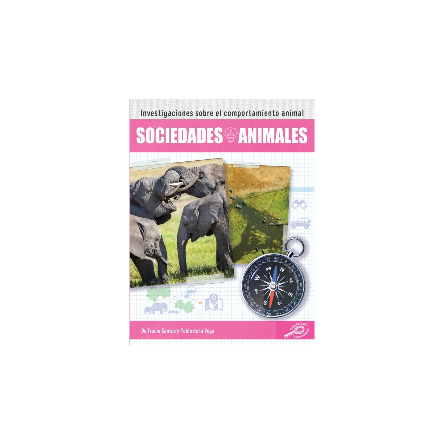 Discovery Library Sociedades animales Paperback