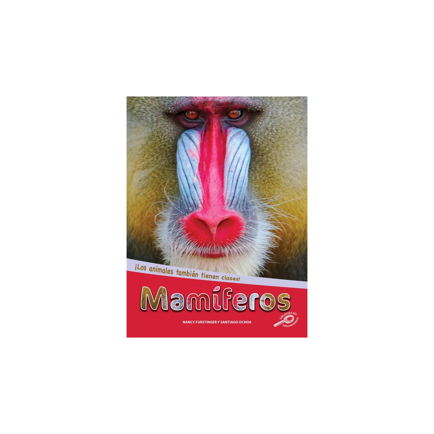 Discovery Library Mamíferos Paperback