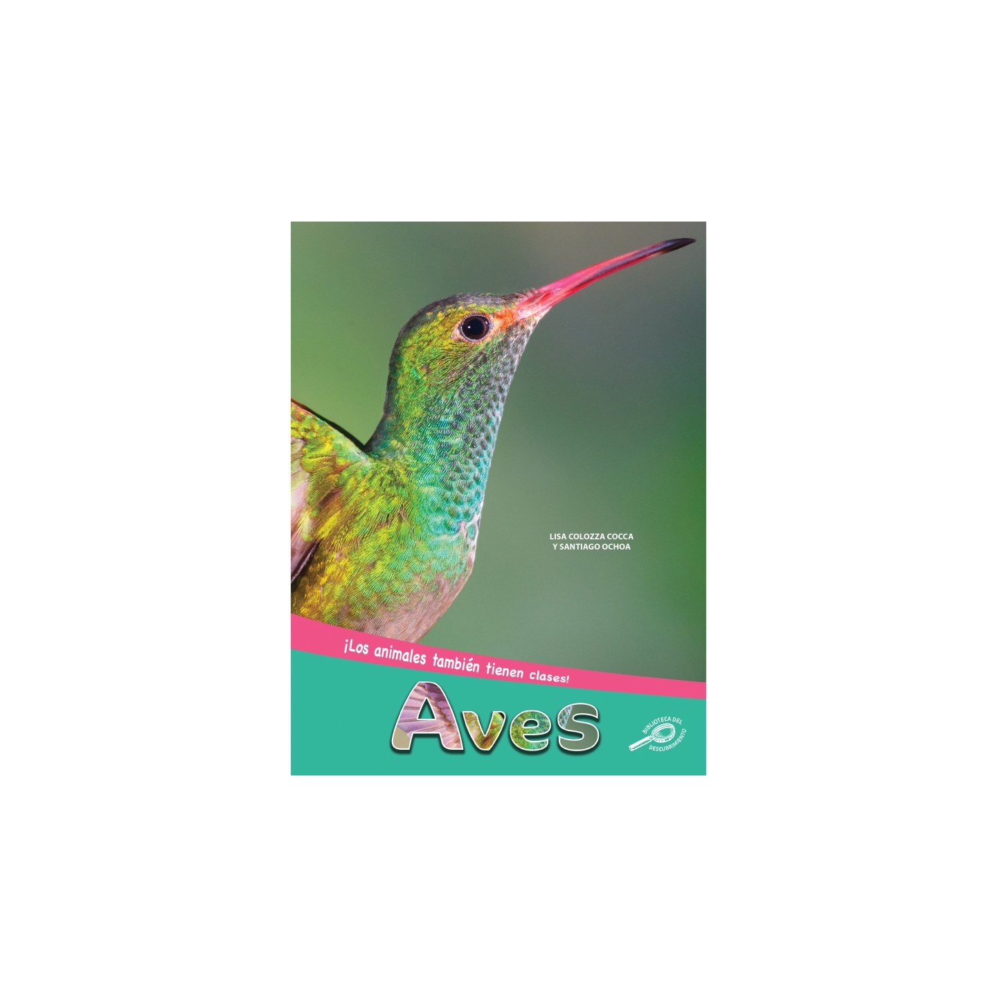 Discovery Library Aves Paperback