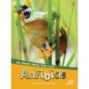 Discovery Library Anfibios Paperback