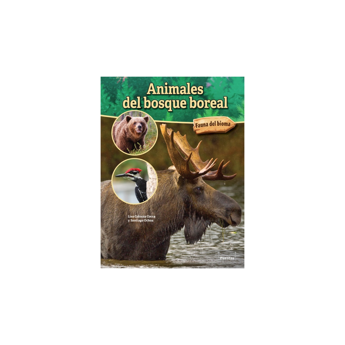 Bridges Animales del bosque boreal Paperback