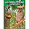Bridges Animales del bosque caducifolio Paperback