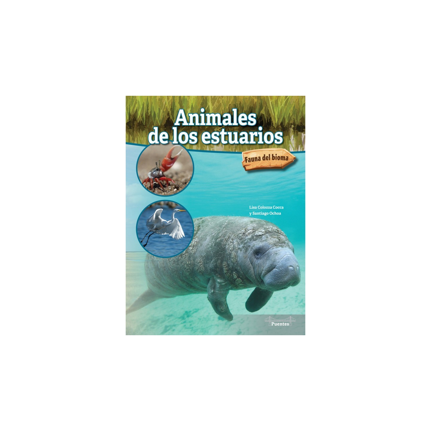 Bridges Animales de los estuarios Paperback