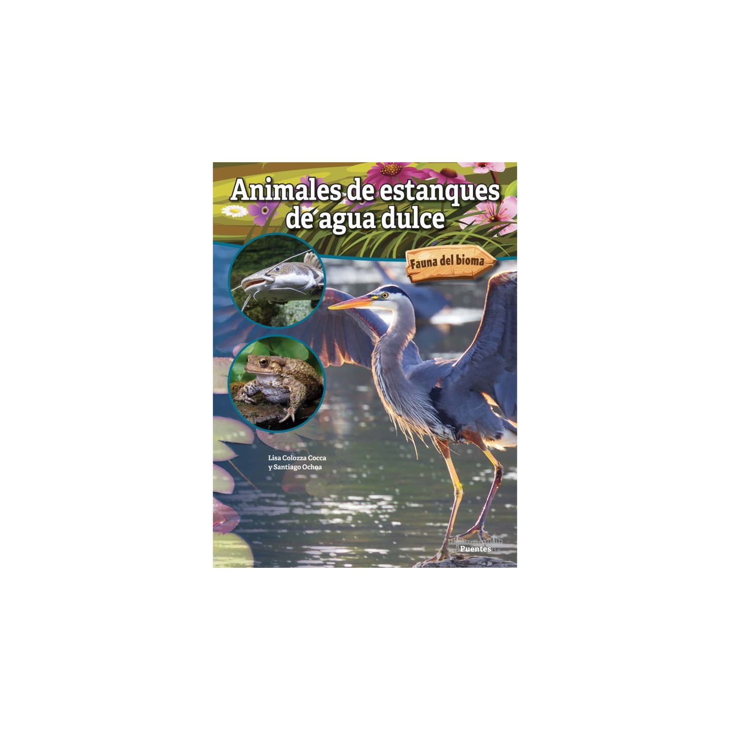 Bridges Animales de estanques de agua dulce Paperback