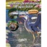 Bridges Animales de estanques de agua dulce Paperback