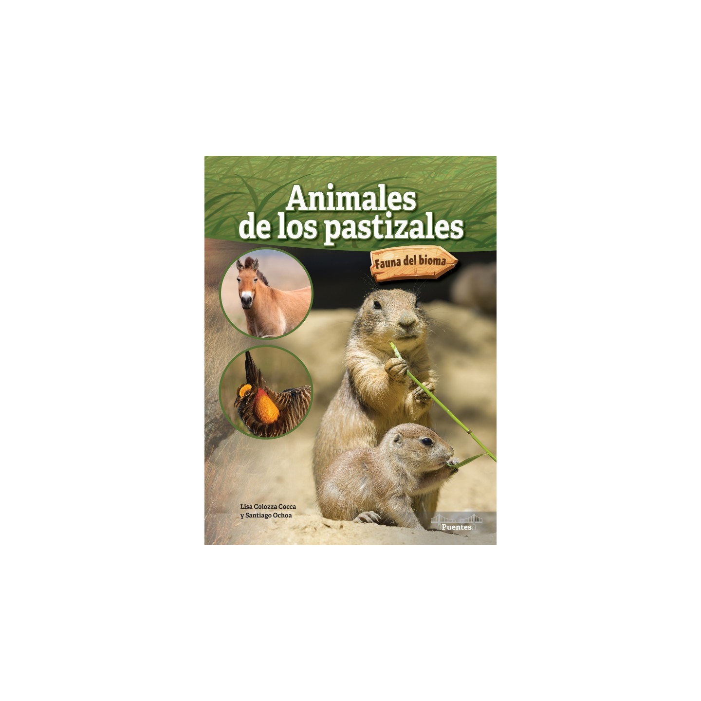 Bridges Animales de los pastizales Paperback