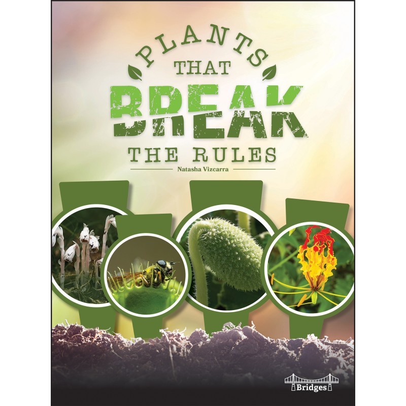 Bridges Plants That Break the Rules