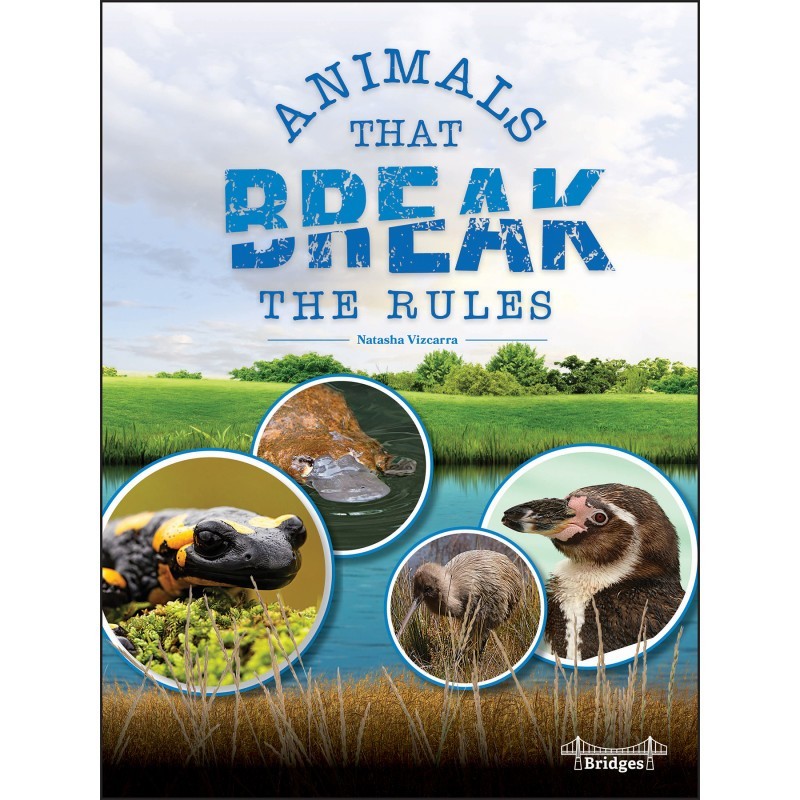 Bridges Animals That Break the Rules