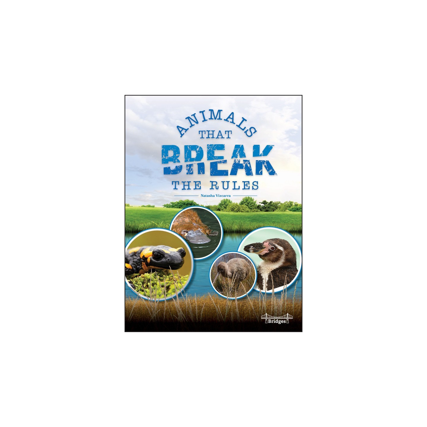Bridges Animals That Break the Rules