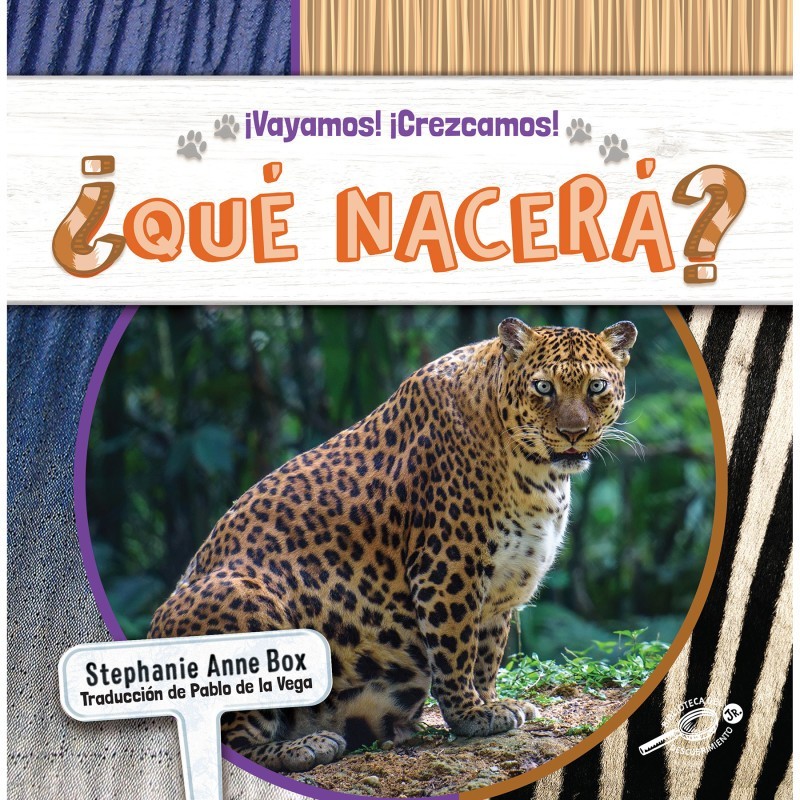 Discovery Library Jr ¿Qué nacerá?