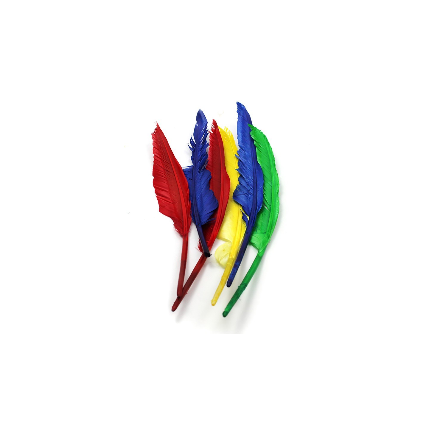 Charles Leonard Quill Feathers, 10" & 12", 6 Per Pack, 12 Packs