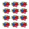 Charles Leonard Turkey Feathers, Bright Colors, 14 Grams Per Pack, 12 Packs