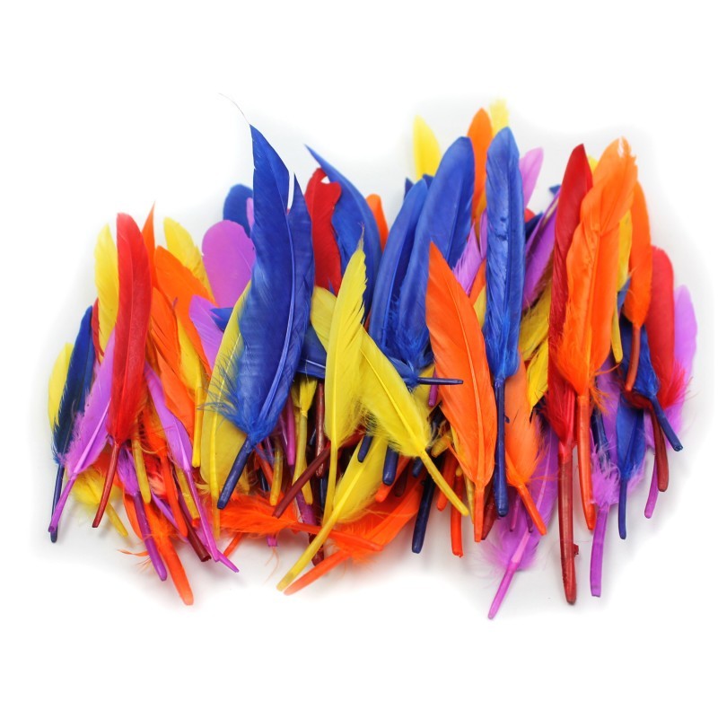 Charles Leonard Duck Quills Feathers, 14 Grams