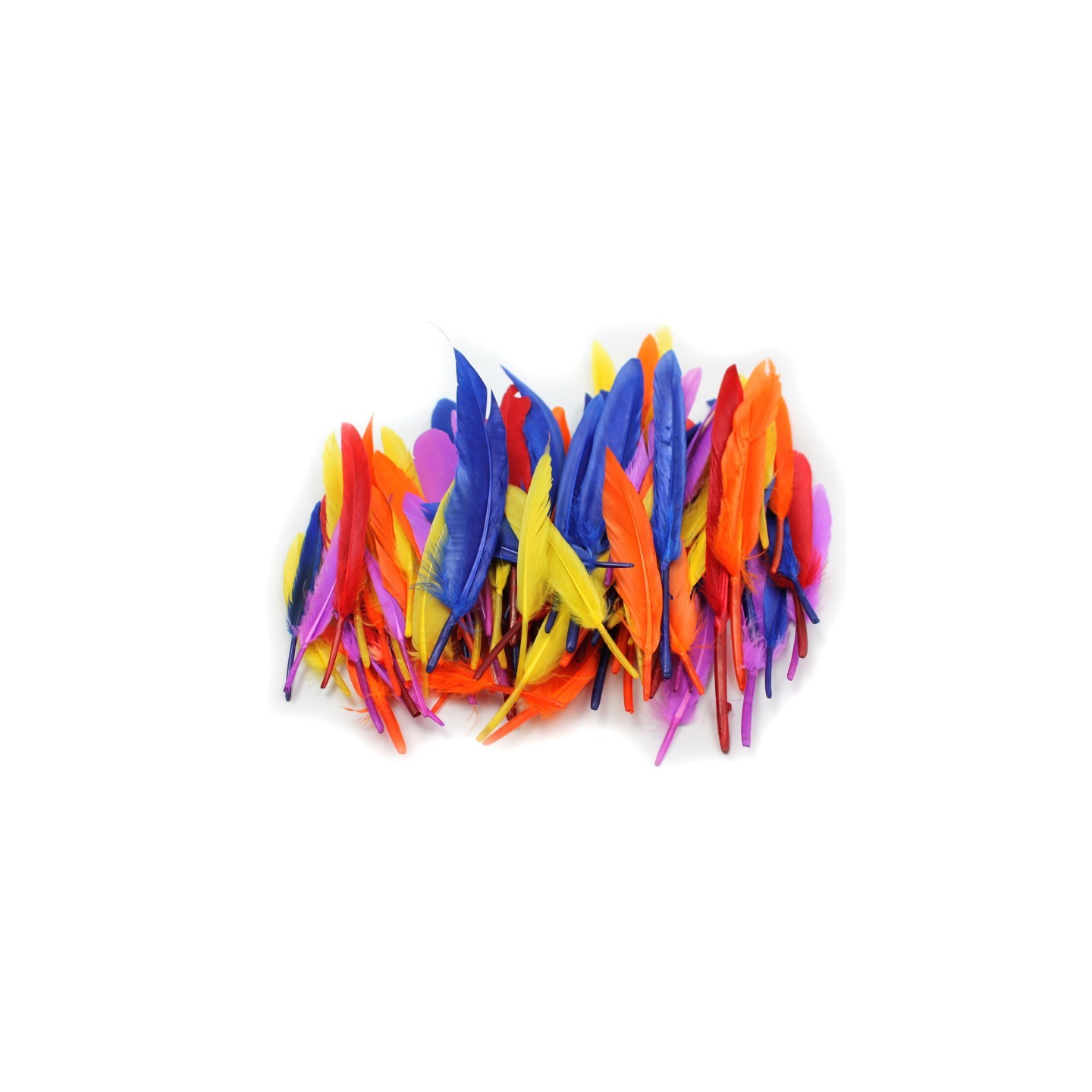 Charles Leonard Duck Quills Feathers, 14 Grams
