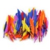 Charles Leonard Duck Quills Feathers, 14 Grams